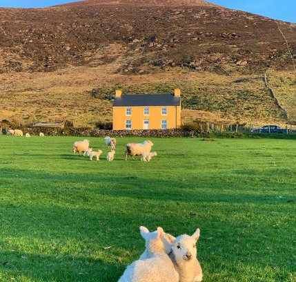 Ring of Kerry House | Hidden Hills Waterville