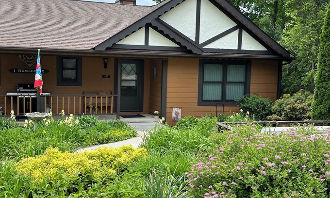 Burnsville Cabin | Hidden Mountain Gem with Fantastic Views!