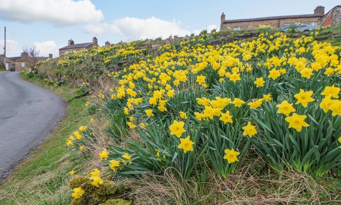 Hawes Cottage | High House