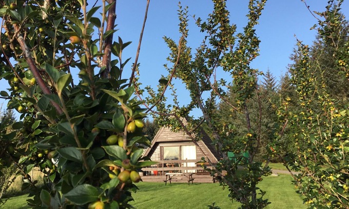 Glenlivet Cabin | High Quality Scottish Highland Lodge in Glenlivet perfectly located and equipped