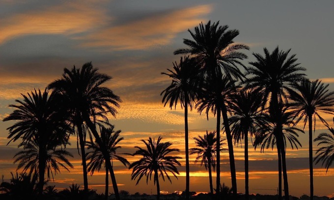 Los Altos Apartment | High quality & sun-kissed - great view over the sea, harbor & salt lakes, WiFi B1