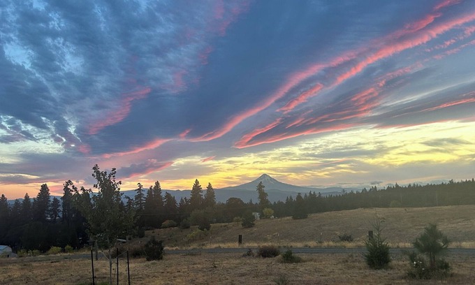 Lyle House | Highlands House - 5 acres with Mt. Hood Views. Dog Friendly!