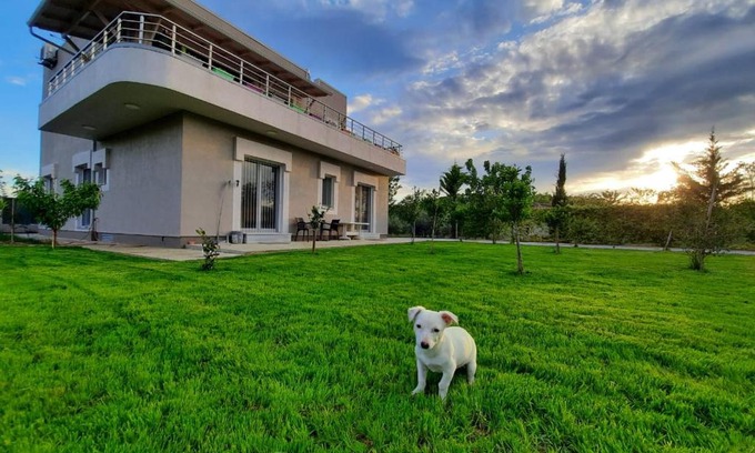 Elbasan Bed & Breakfast | HILLTOP HIDEAWAY