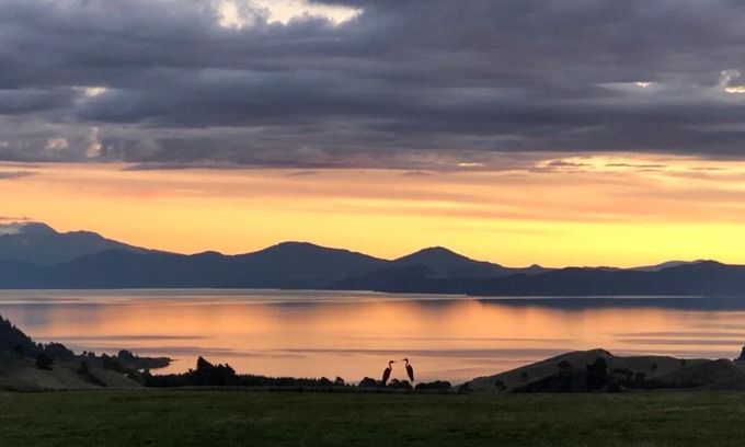 Kinloch Bed & Breakfast | Hilltop Whakaipo Estate