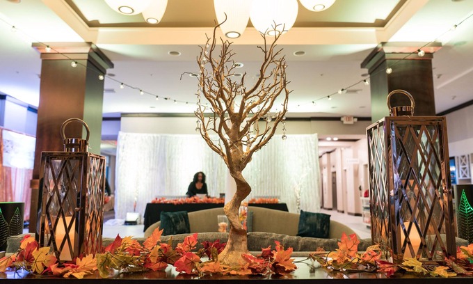 Shirlington Hotel | Hilton Garden Inn Arlington-Shirlington