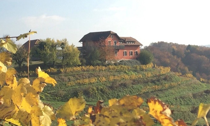 Videm House | Hisa Vina - a wine estate on a tranquil vineyard hill sleeps 10+2