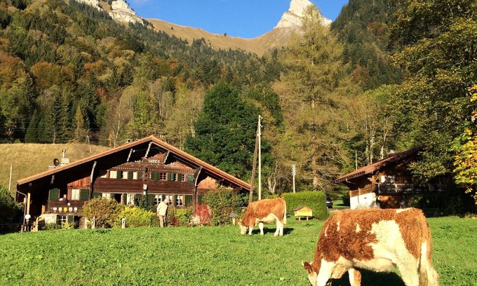 Les Plans-sur-Bex Ski Chalet | Historic chalet from 1714 in Plans-sur-Bex, Gryon-Villars-Les Diablerets