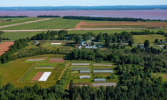 Maitland Other | Historic farmhouse on organic veggie farm on the Bay of Fundy