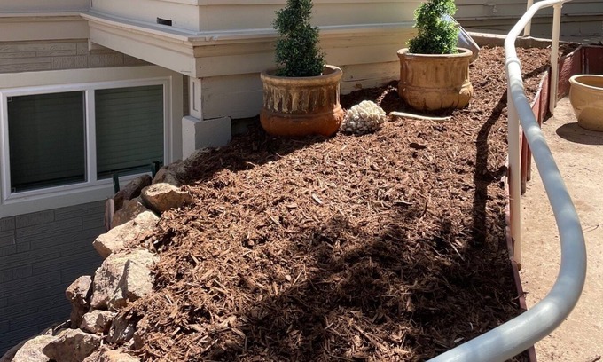 Colorado Springs Cabin | Historic Mountain Cabin in the trees and close to adventures!