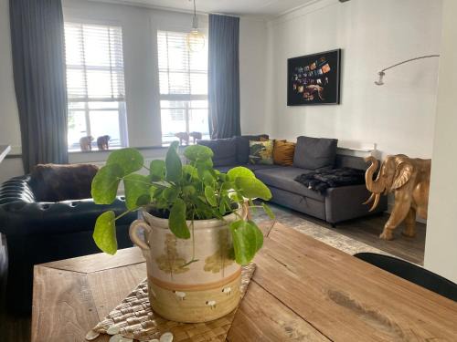 Stadhuis Apartment | Historical loft