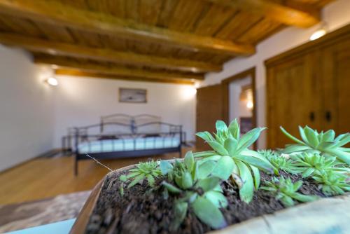 Kezmarok House | Historický dom Kežmarok