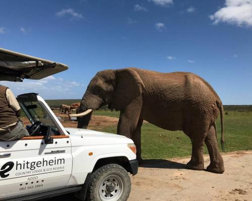 Addo Cabin | Hitgeheim Country Lodge