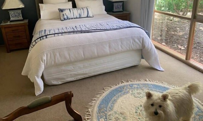 Woodend North House | Hobreid House country stay w garden - pets welcome