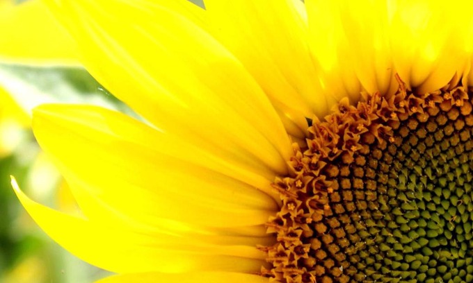 Alt Reddevitz Apartment | Hoefthus 11