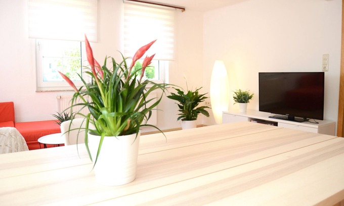 Wildeck Apartment | #Hoenepartment - time out in Waldhessen for up to 6 people