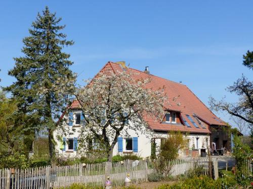 Muritz Apartment | Hof Sorgenlos