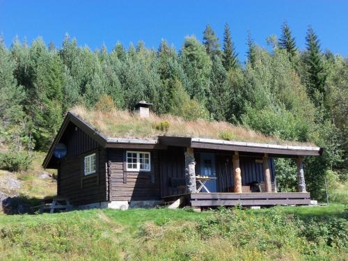 Hjartdal Municipality House | Hogstul Hytter - Skojestua - 2 Bedroom Cottage
