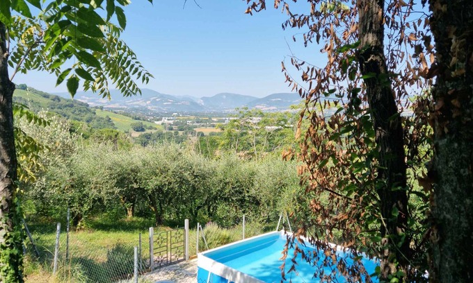 Rupoli House | Holiday home with barbecue and pool, partly surrounded by an olive grove