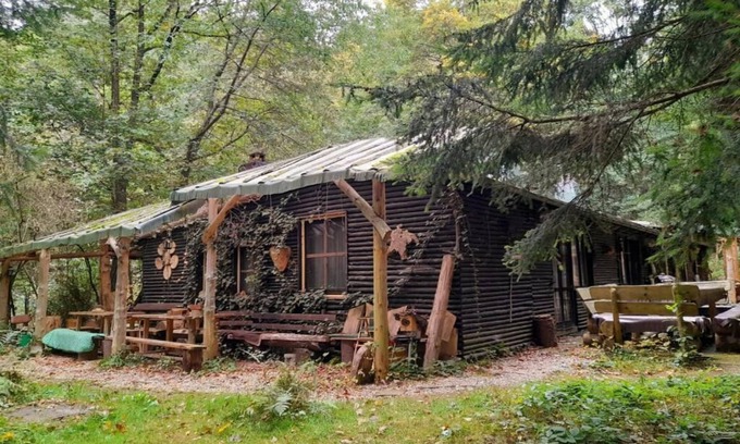 Bertsdorf-Hoernitz House | Holiday Apartment "Eulentreff" in the Wilde Auwaldhaus, Zittau Mountains