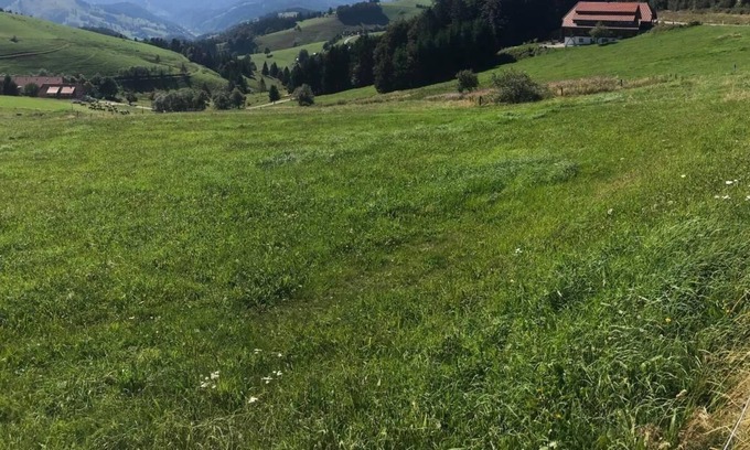 Marzell Apartment | Holiday apartment Malsburg-Marzell for 4 - 6 persons with 2 bedrooms - Holiday apartment