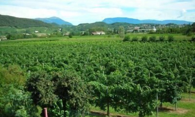 Pieve di Soligo House | Holiday apartment Pieve di Soligo for 1 - 4 persons with 2 bedrooms - Holiday house