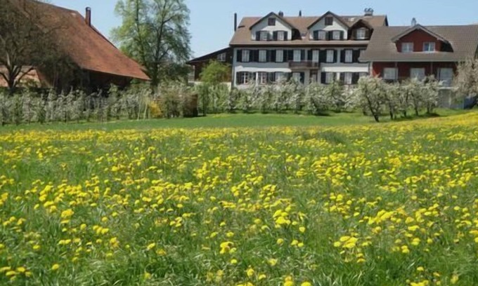 Erlen Apartment | Holiday apartment Kümmertshausen for 4 - 8 persons with 3 bedrooms - Holiday apartment in a farmhous