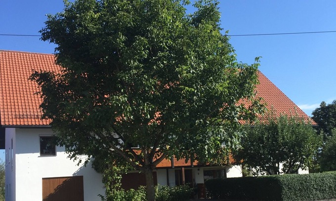 Tannheim Apartment | Holiday Apartment Andrea
