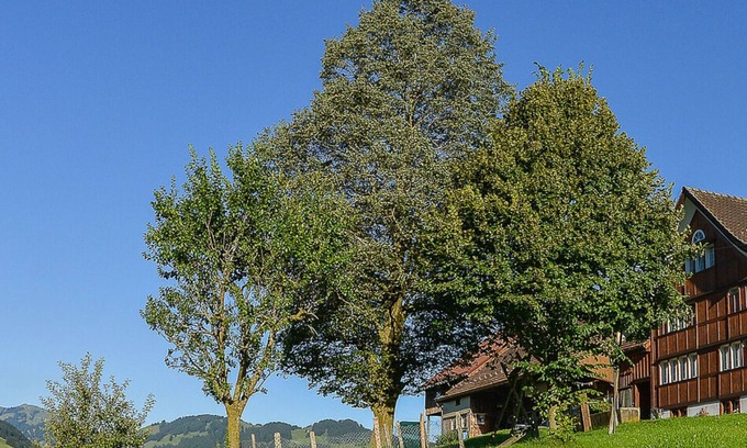 Ruete Other | Holiday apartment Brülisau for 1 - 5 persons with 2 bedrooms - Farmhouse