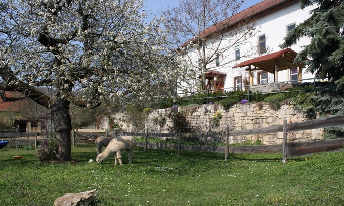 Zothen House | Holiday apartment Camburg for 1 - 4 persons with 1 bedroom - Holiday house
