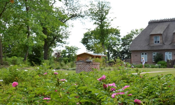 Kronsgaard Apartment | Holiday apartment Domstag "Kos"