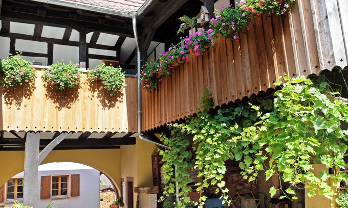 Britzingen Apartment | Holiday Apartment "Haus Romann" with Shared Terrace & Wi-Fi