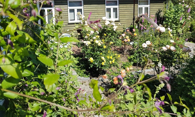 Sieverstedt Apartment | Holiday apartment in a quiet location on a large natural plot