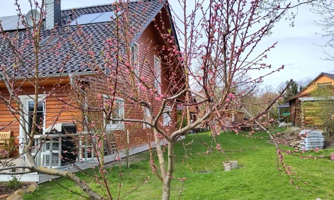 Muncheberg Apartment | Holiday apartment in the wooden house