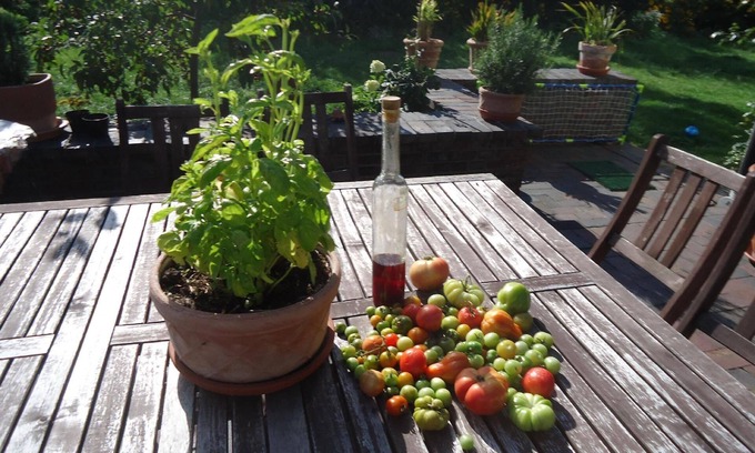 Sulmin Apartment | Holiday apartment Przyjazn for 1 - 4 persons with 1 bedroom - Holiday apartment in one or multi-fami