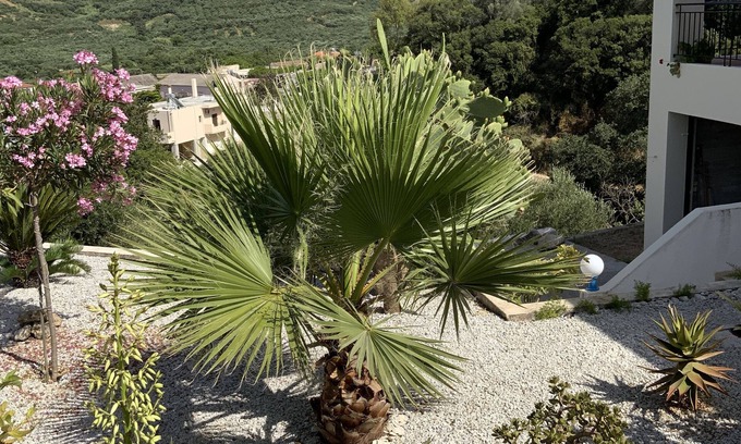Kolymbari House | Holiday house in a quiet, close to the sea, away from the hustle and bustle.