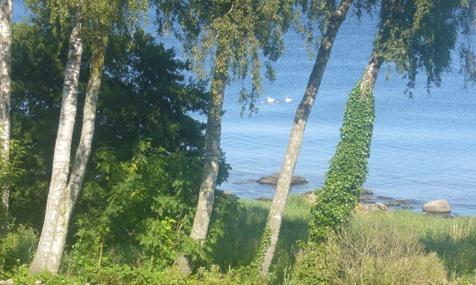 Bolshavn House | Holiday house with a wonderful view of the sea and a large garden, free WiFi