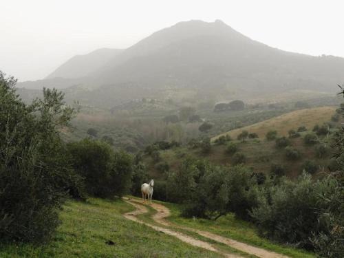 Villanueva de San Juan House | Holiday Home in Villanueva near El Terril Peak