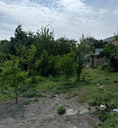 Sheki Apartment | Holiday home
