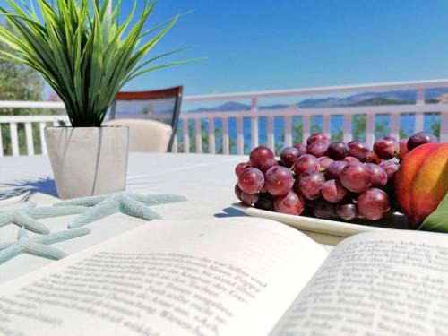 Putnikovic Apartment | Holiday Home Blue Dream