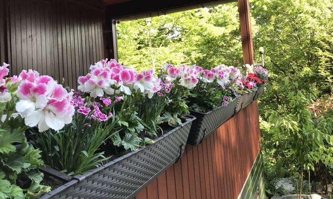Eltville am Rhein Cabin | Holiday home in a nature park - HAPPY in harmony with nature