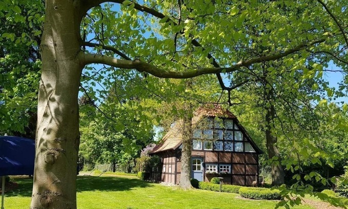 Borchel House | Holiday home for 2 guests with 120m² in Rotenburg-Borchel (186095)