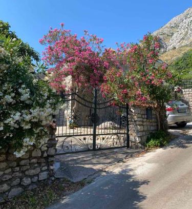 Drobnici House | Holiday home Drobnici