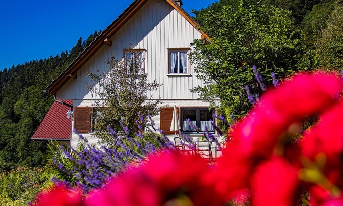 Oppenau Apartment | Holiday Home 'Ferienhaus Niedermättle' with Mountain View, Private Terrace and Wi-Fi