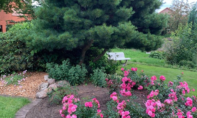 Amelinghausen House | Holiday home Gartenidylle