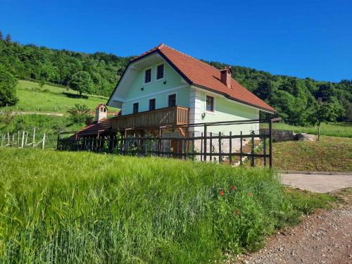 Semic House | Holiday home in Semic Kranjska Krain 42896