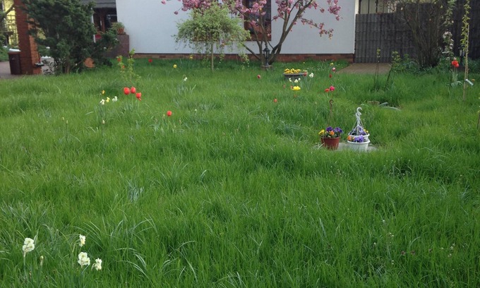 Kolkwitz House | Holiday home in the Vorspreewald with its own beekeeping 6 beds