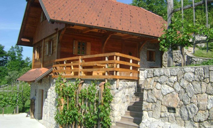 Srednje Grcevje House | Holiday home on the vineyard, rustic, with a fireplace