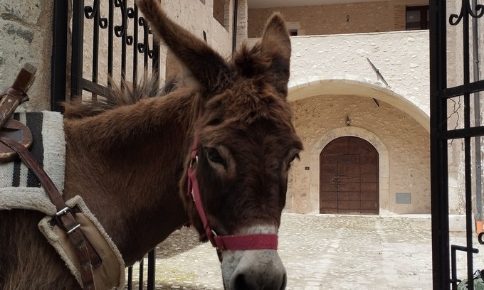 Goriano Valli Apartment | Holiday home “Orso” - Spacious apartment in a historic palazzo
