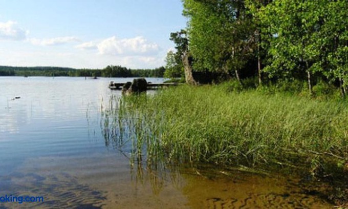 Konnevesi House | Holiday Home Pynnölänniemi
