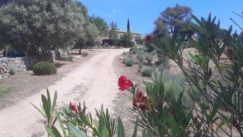Monti House | holiday home su Niberalzu